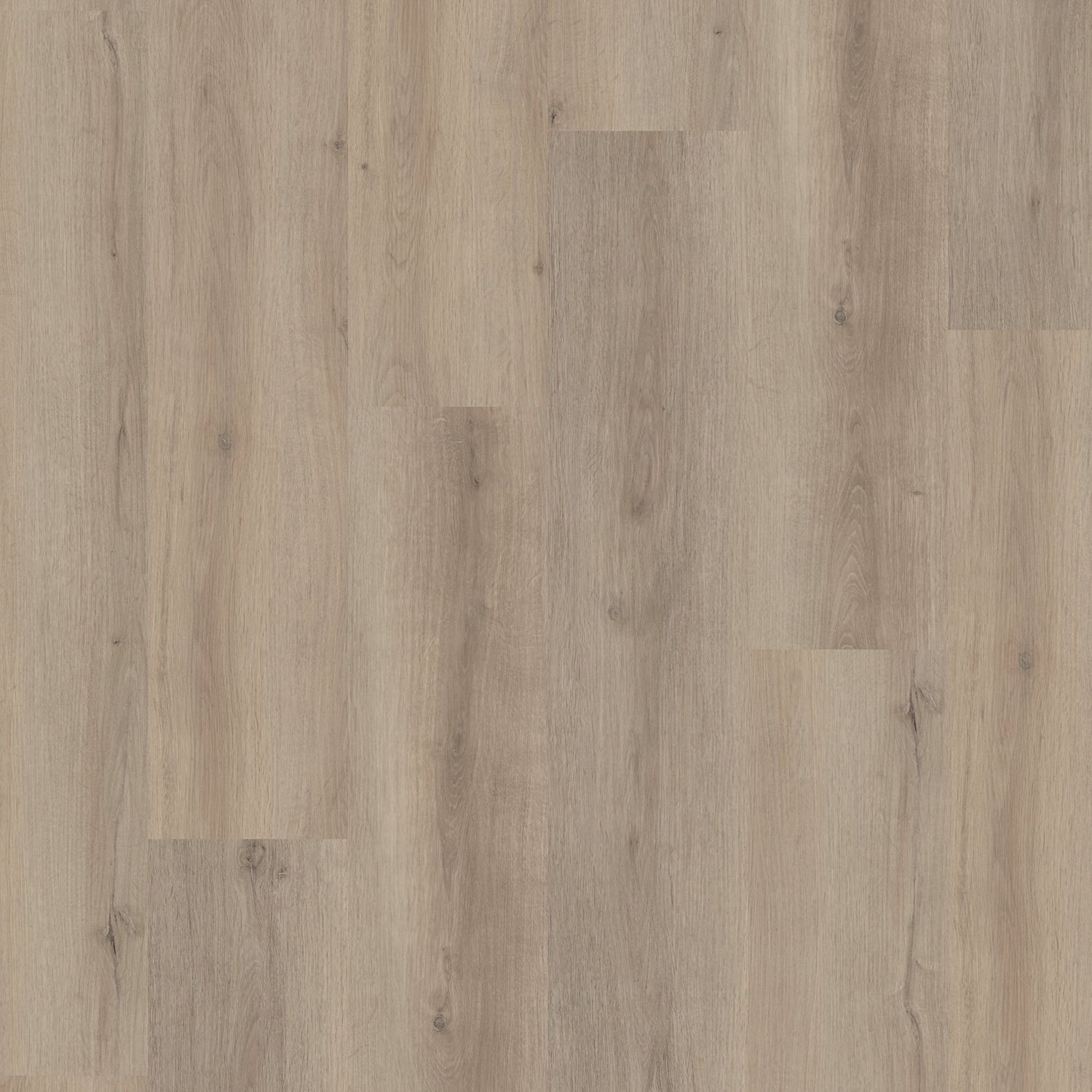Draufsicht Klick-Vinylboden Eiche grau mit wenigen Ästen