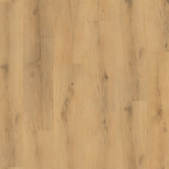»Eiche Amsterdam« Klick-Vinylboden 1m²
