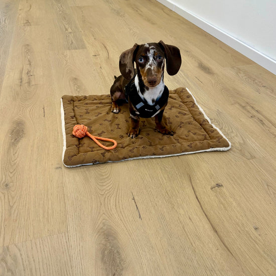 »Light Oak« Premium Klick-Vinyl 1m²