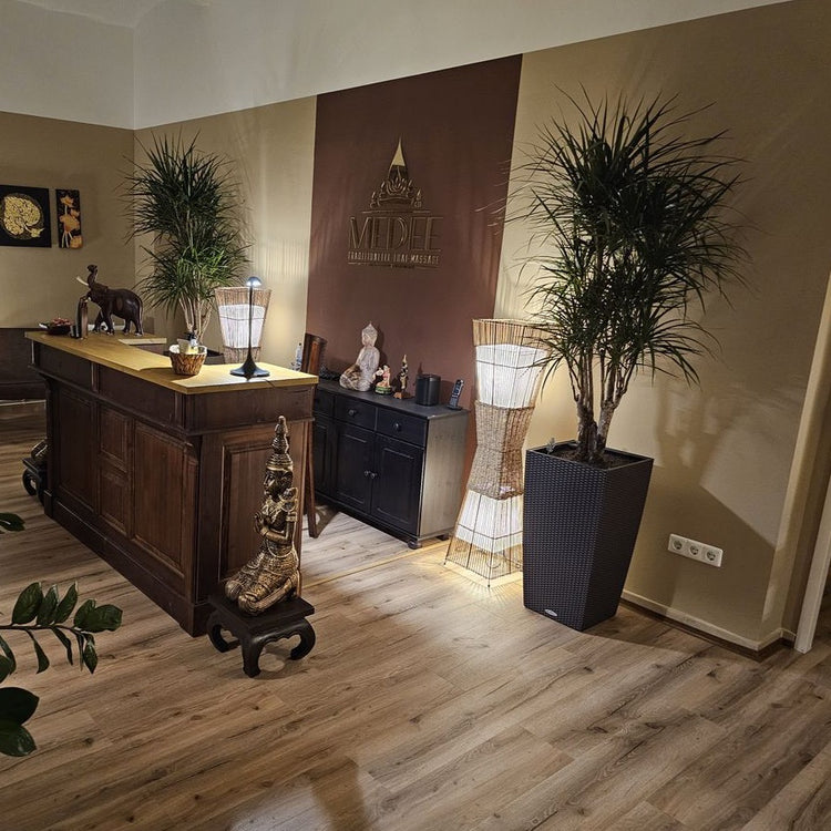 Klick-Vinyl Natur braun rustikal