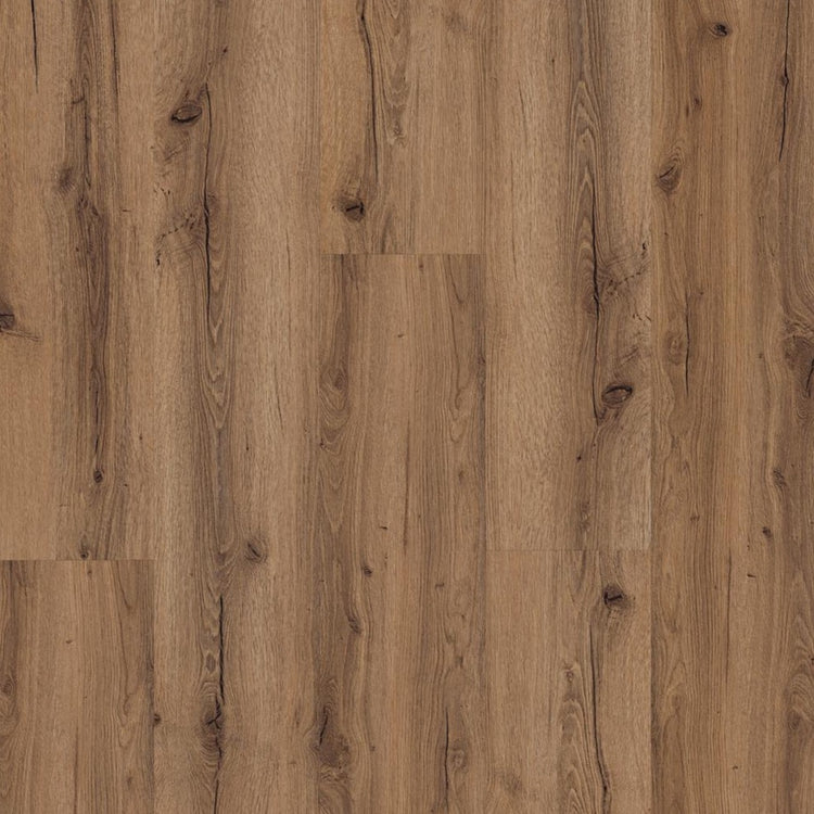 Ginger-Oak_Pyronia_Flaechenansicht_Frontal Draufsicht