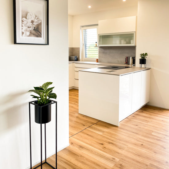 »Der Laminat-Shop24 Bestseller« Klebevinyl 1m²