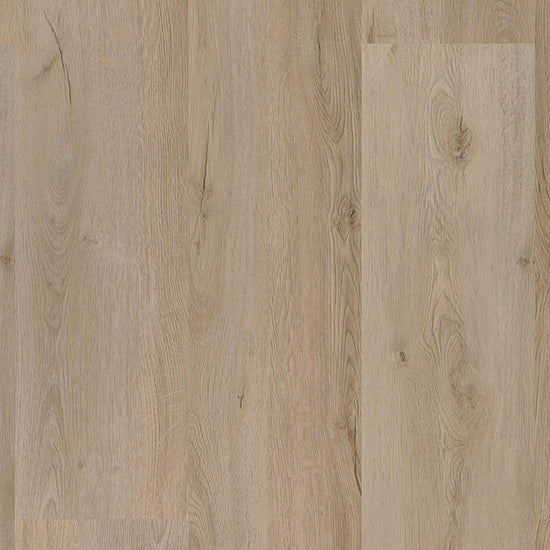 Draufsicht auf Risse und Äste in Braun