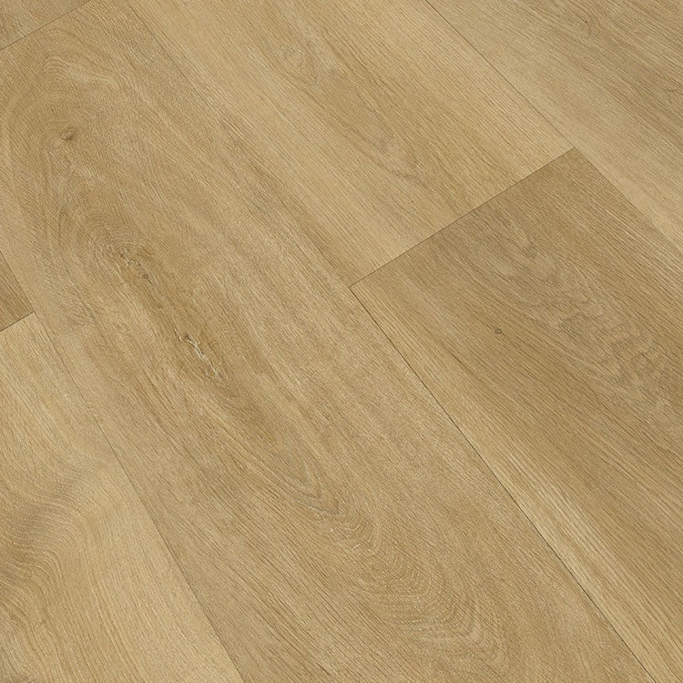 »Eiche Oleander« Landhausdiele SPC Vinylboden Holzoptik Draufsicht