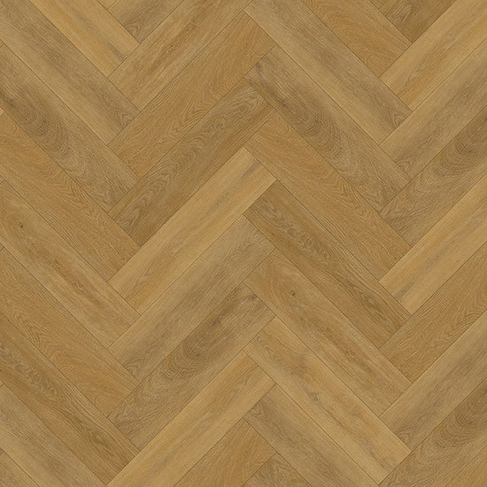 Draufsicht Modernes Fischgerät Design