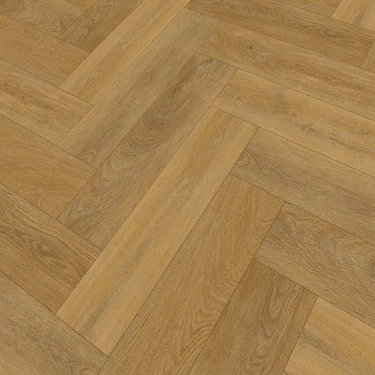 Draufsicht Modernes Fischgerät Design