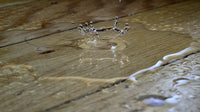 Wasserabweisend