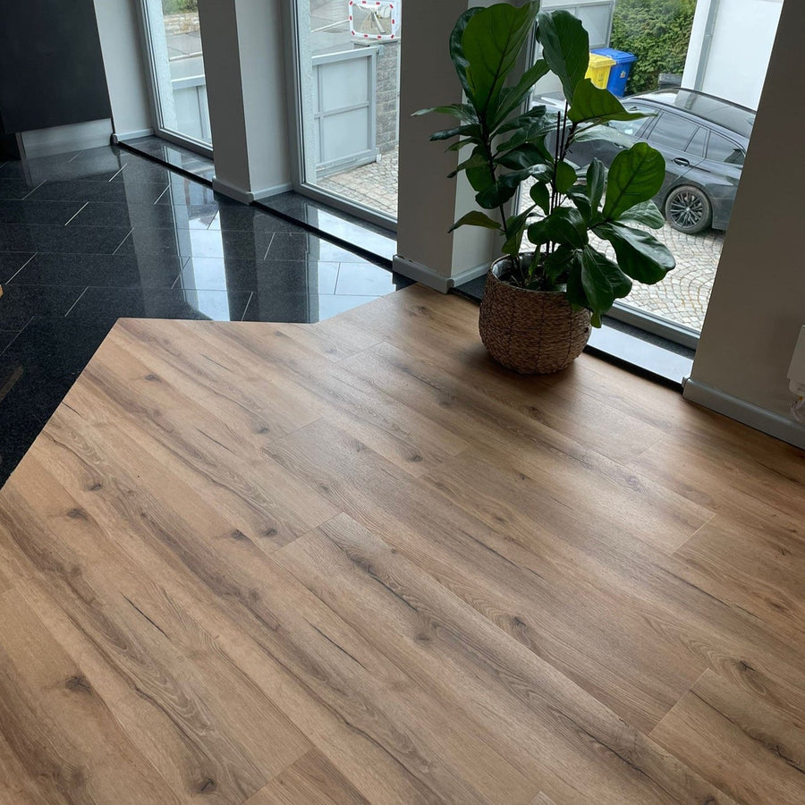 »Der Laminat-Shop24 Bestseller« Klebevinyl 1m²