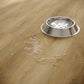 »Sunflower Oak« Premium Klick-Vinyl