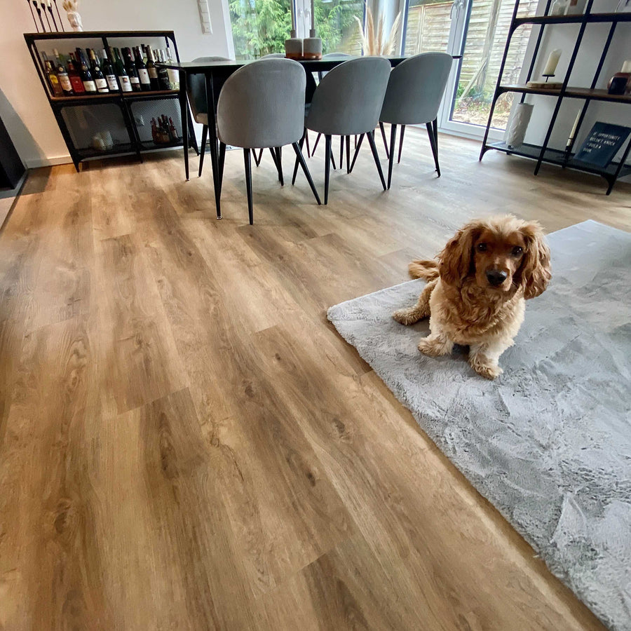 Eiche Apatura Klick-Vinylboden in eingerichtetem Wohnzimmer mit Hund auf Teppich
