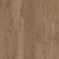 COREtec® Essentials Baltimore Eik 84 | 50 LVRE 1284