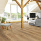 »Eiche Apatura« Klebevinyl 1m²