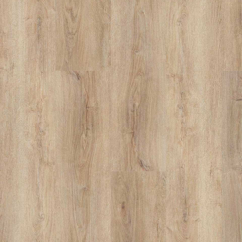 Extrem strapazierfähiger & pflegeleichter Draufsicht in Beige, Braun